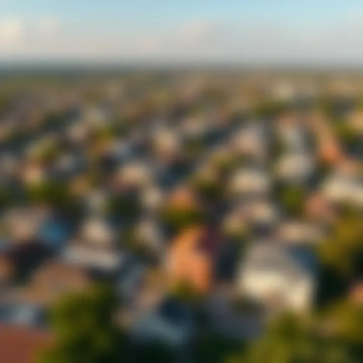 Revitalized Neighborhood Through Ethical Investments Aerial view of a neighborhood revitalized through ethical investment practices