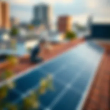 Strategic Placement for Maximum Output Optimal solar panel placement on a rooftop